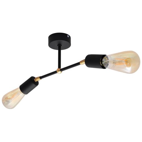  Plafonski luster ROSETTE 2xE27/15W/230V crna/zlatna Cene