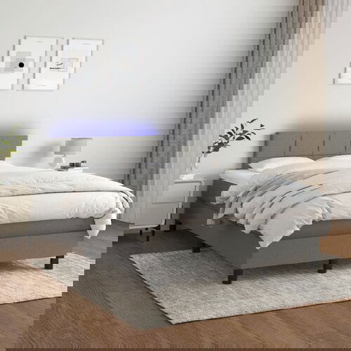 The Living Store Box spring postelja z vzmetnico LED temno siva 120x200 cm blago - Box Spring Postelja, (21521383) Cene