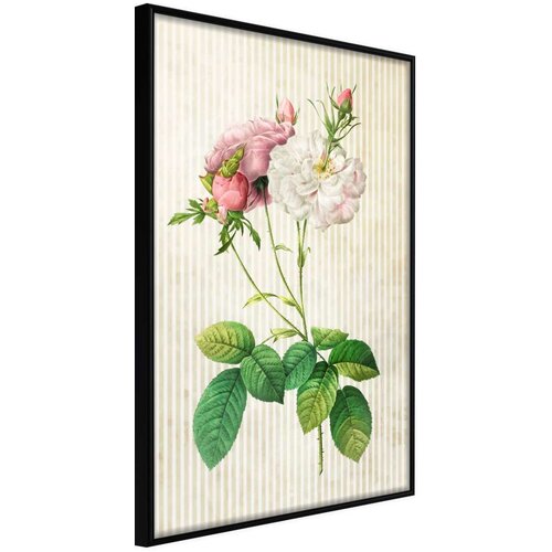  Poster - Romance I 30x45 Slike