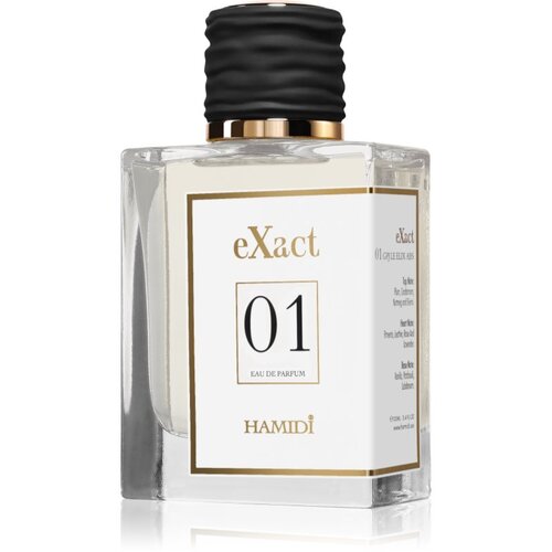 Hamidi eXact 01 parfumska voda za mo&amp;scaron;ke 100 ml Slike