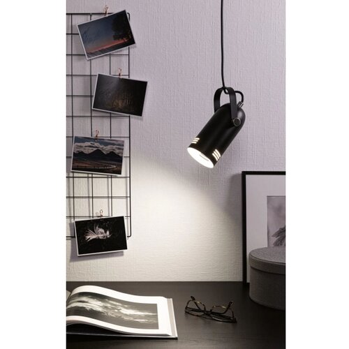 PAULMANN 79766 - LED RGBW 1xE27/15W viseća lampa na sajli LAVEA 230V crna Slike