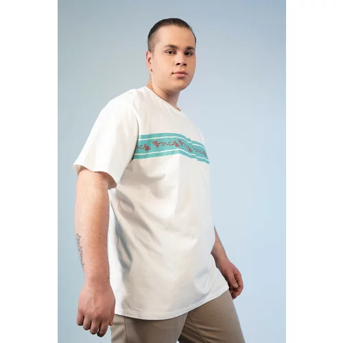 Defacto Large Size Crew Neck Cotton Combed Combed T-Shirt
