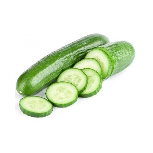  Krastavac svež 1kg Cene