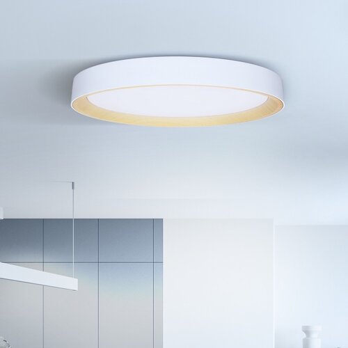  Brilagi - LED prigu&amp;scaron;iva stropna svetiljka LARIOS LED/72W/230V bela &amp;Oslash; 59 cm + daljinski upravljač Slike