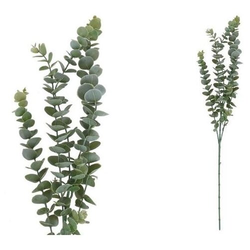  EUKALIPTUS 82CM VD/CL PVC Cene
