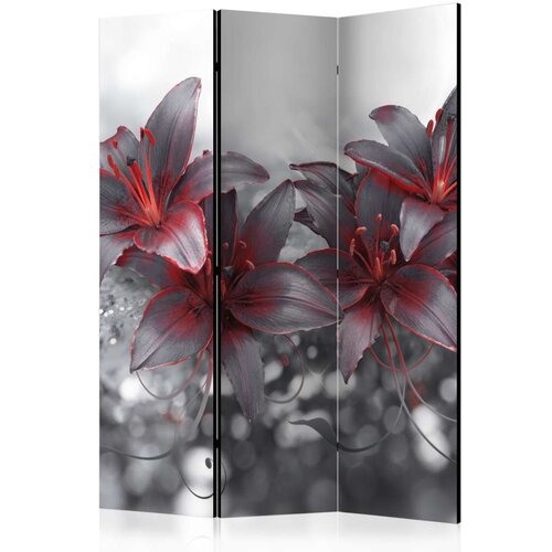  Paravan u 3 dijela - Shadow of Passion [Room Dividers] 135x172 Cijene