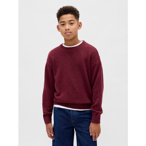 GAP Children's Sweater - Boys Cene