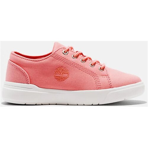 Timberland Modne superge Seneca bay fabric ox Rožnata Cene