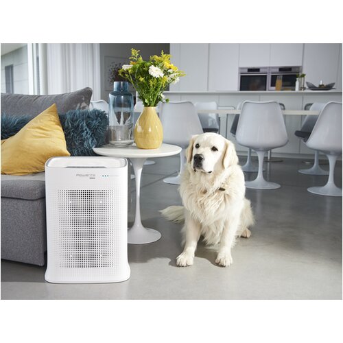 Rowenta proči&amp;scaron;ćivač zraka PU3080F0 Pure Air Genius Slike