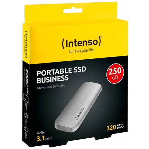 Intenso Eksterni SSD, kapacitet 250GB, USB 3.1 - SSD External 250GB/Business Slike