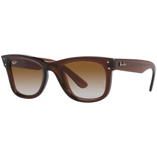 Ray-ban Wayfarer Reverse RBR0502S 6709CB L (53) Rjava/Rjava Slike