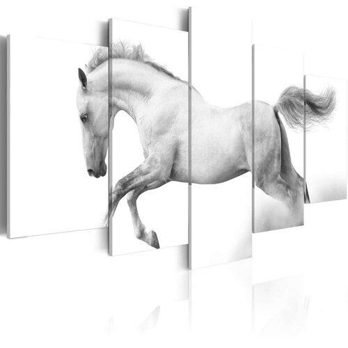  Slika - Horse- passion and freedom 200x100 Slike