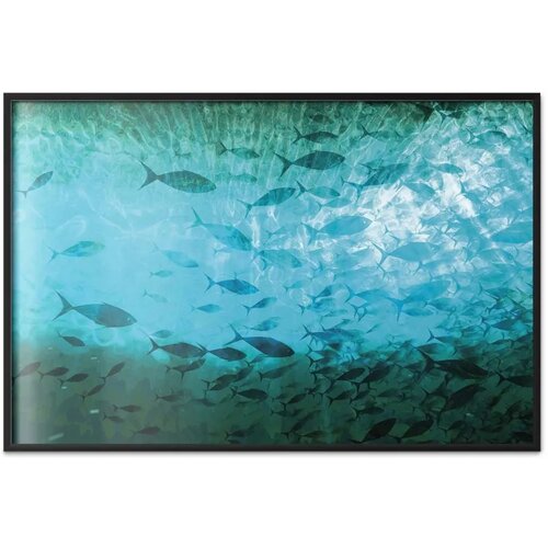  Plakat - Group of Dark Fish 30x21 Crni okvir Slike