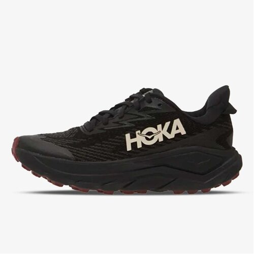 Hoka Challenger8gtx Slike