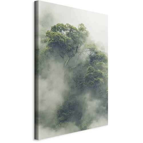  Slika - Foggy Amazon (1 Part) Vertical 40x60 Cijene