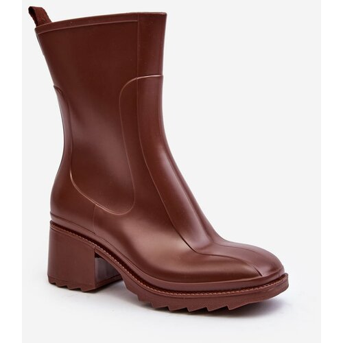 Kesi Women's matte high-heeled boots, brown Bertaida Slike