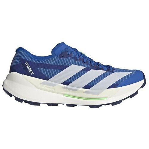 Adidas Nizke superge Terrex Agravic TT Bela Cene
