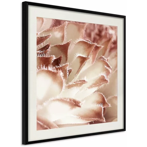  Poster - Floral Calyx 50x50