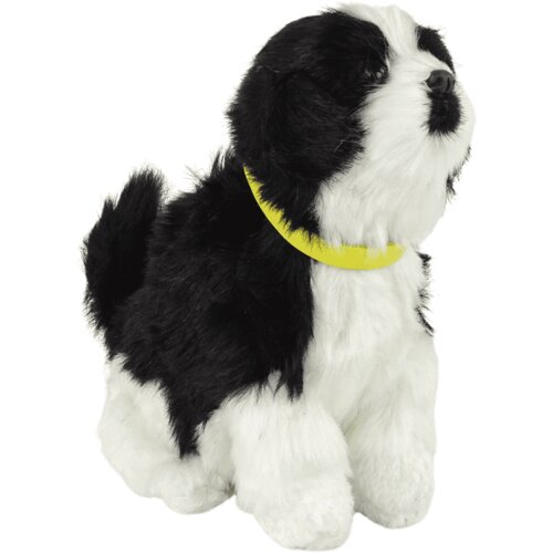  Interaktivni pli&amp;scaron;ani psić Border Collie Slike