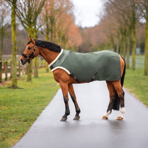 Busse Pregrinjalo za vadbo 3D Air ST, deep olive - 145 cm Cene