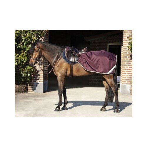 Horseware Ireland Amigo Ripstop Competition "feige" - L Cene