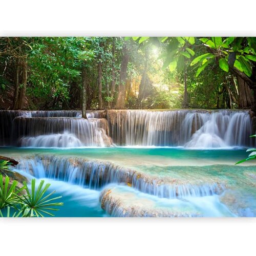  Foto tapeta - Awakening of nature 150x105 Standard Slike