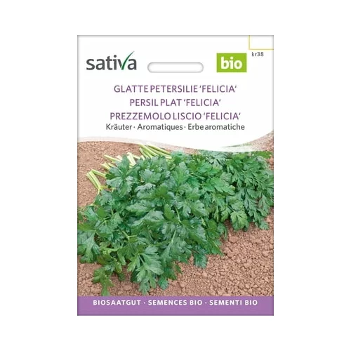 Sativa Bio zelišča “Gladki peteršilj Felicia”
