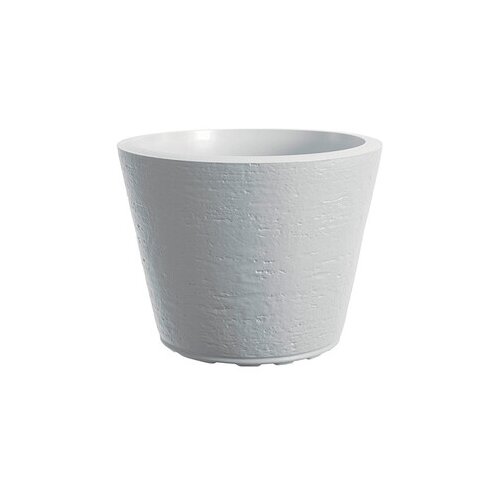  Saksija Di Martino Tirso, 19 lit, bela Cene