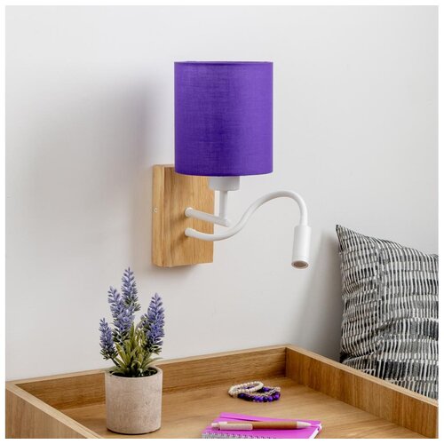  Brilagi - LED zidna lampa NUBILA WOOD 1xE27/25W/230V + LED/3W hrast/ljubičasta Cene