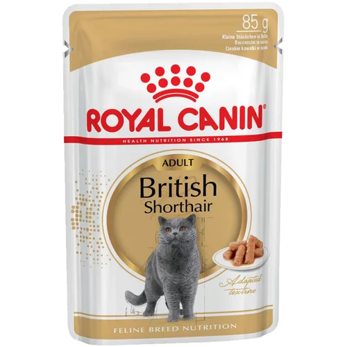Royal Canin varčno pakiranje 48 x 85 g - British Shorthair Adult v omaki