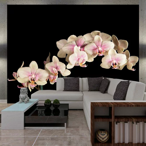  tapeta - Blooming orchid 300x231