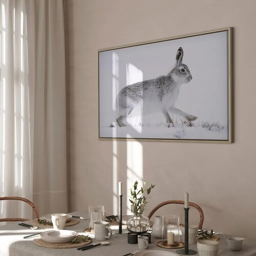  Slika - Hare (1 Part) Wide 120x80 U prirodnom drvenom okviru Slike