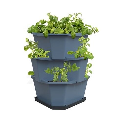 Gusta Garden Paul Potato Starter - 3 nadstropja - Modra Slike