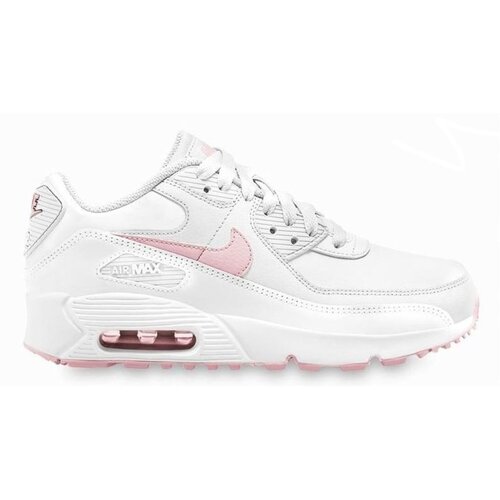 Nike Air Max 90 Ltr GS Cene
