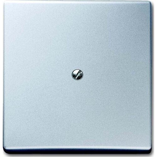 Busch-Jaeger Slepi centralni disk alusil 2138-33, (20993108) Cene