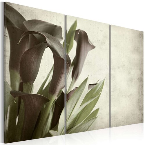  Slika - callas - vintage 120x80 Slike