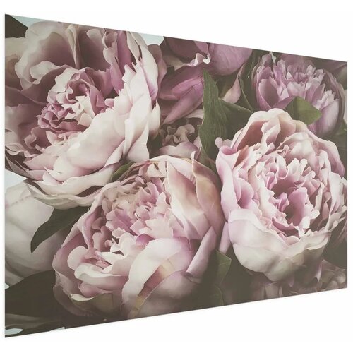  Plakat Pink Peonies 30x21 Cijene