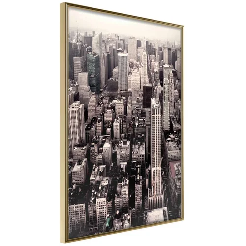  Poster - New York from a Bird's Eye View 20x30