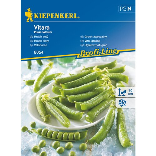 KIEPENKERL Sjeme povrća ljetni grašak Vitara (Pisum sativum, Berba: Lipanj) Cijene