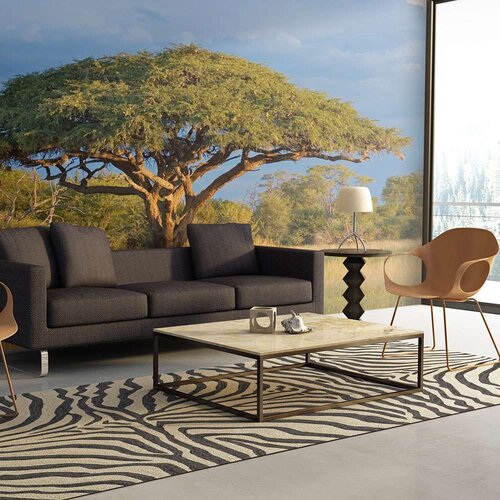  Tapeta - African acacia tree Hwange National Park Zimbabwe 200x154 Slike
