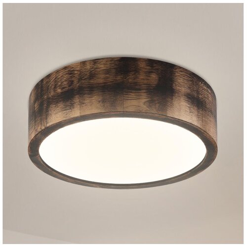  Brilagi - LED plafonsko svetlo CARVALHO SMOKEY LED/20W/230V hrast, prečnik 27,5 cm Cene