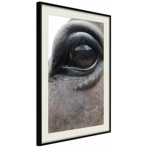  Poster - Gentle Eyes 40x60