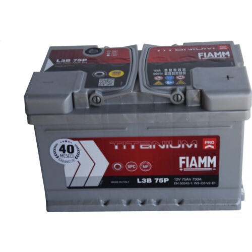 FIAMM TITANIUM PRO Akumulator 75Ah 730A/En Slike