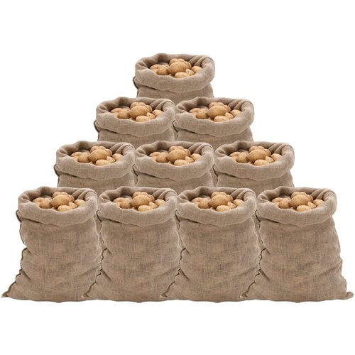 VidaXL Jutene vreće 10 kom 60x105 cm 100 % juta 220 g/m&amp;sup2; Slike