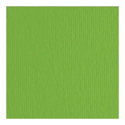 Fabriano elleerre hamer papir b1 220g - odaberite nijansu verde ( 193010 ) Cene