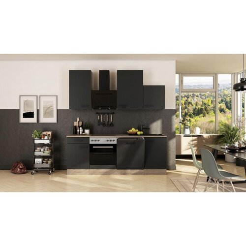 Flex-Well Kuhinjski Blok Z Aparati Capri, Črna, Barva Hrasta Cene