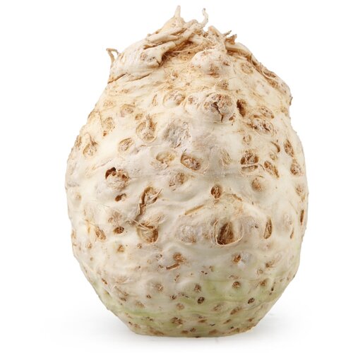 Maxi pijaca Celer koren Cene