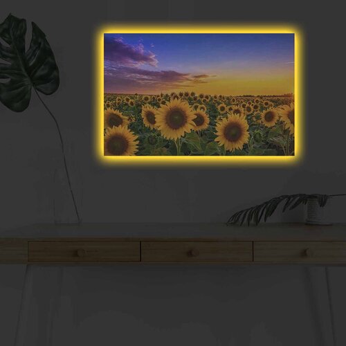 Wallity Slika sa LED osvetljenjem 4570DHDACT-002, 45x70 cm Cene