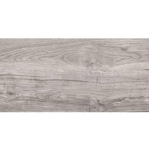 DAKOTA Grey 30x60 Slike