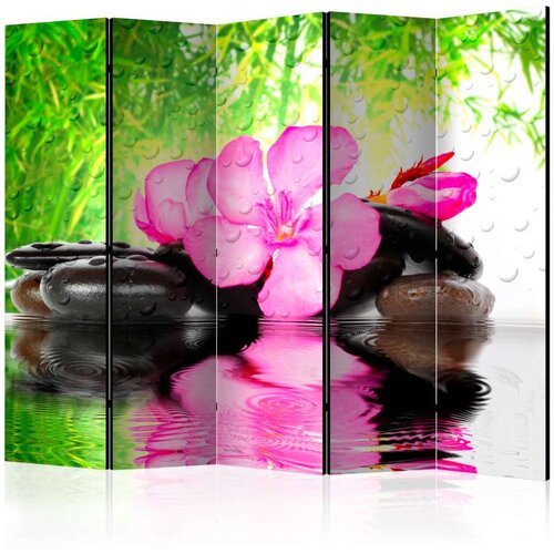  Paravan u 5 dijelova - Fuzzy Reflection II [Room Dividers] 225x172 Cijene